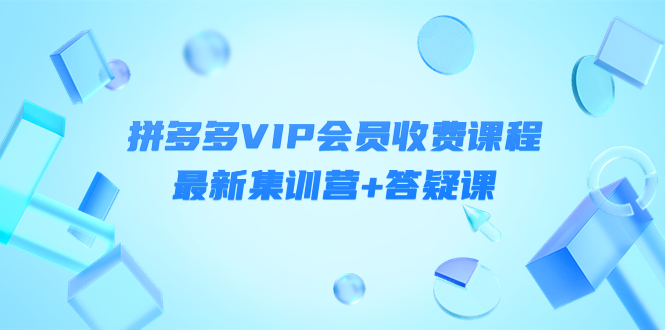 （2202期）某社群·拼多多VIP会员收费课程，最新集训营+答疑课-价值3299元