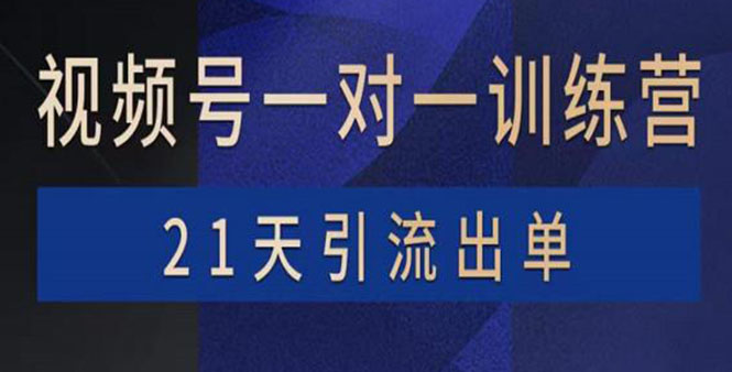 （1901期）视频号训练营：带货，涨粉，直播，游戏，四大变现新方向，21天引流出单