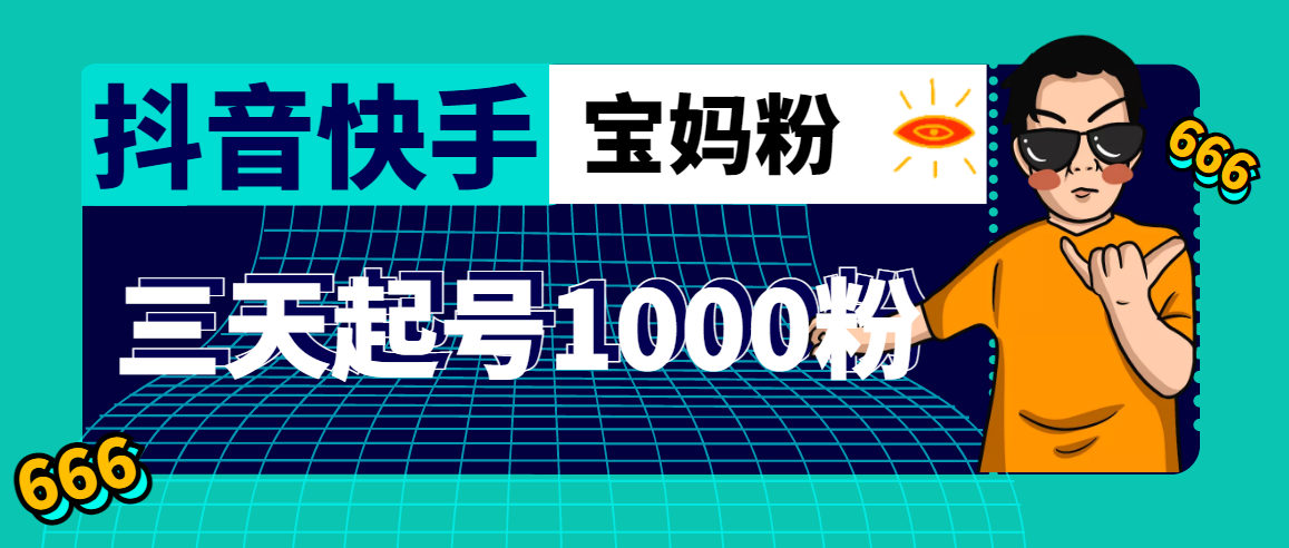 （2644期）抖音快手三天起号涨粉1000宝妈粉丝的核心方法【详细玩法教程】