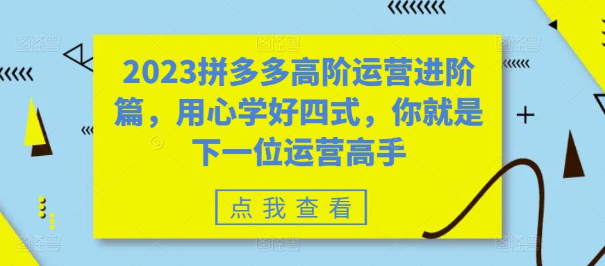 （3820期）2023拼多多高阶运营进阶篇，用心学好四式，你就是下一位运营高手