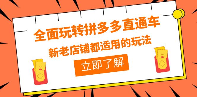 （3915期）全面玩转拼多多直通车，新老店铺都适用的玩法（12节精华课）