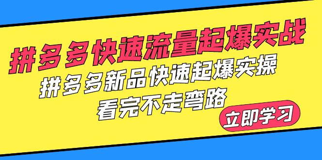 （3876期）拼多多-快速流量起爆实战，拼多多新品快速起爆实操，看完不走弯路