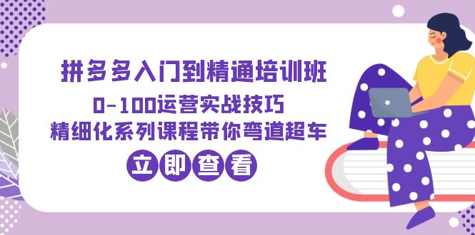 （3867期）2023拼多多入门到精通培训班：0-100运营实战技巧 精细化系列课带你弯道超车