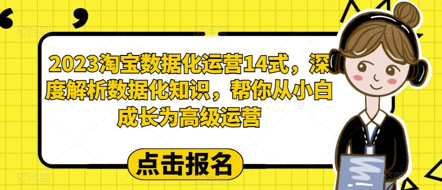 （4088期）2023淘宝数据化-运营 14式，深度解析数据化知识，帮你从小白成长为高级运营