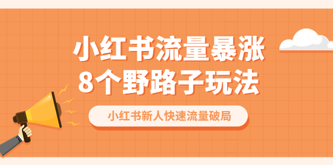 （4089期）小红书流量-暴涨8个野路子玩法：小红书新人快速流量破局（8节课）