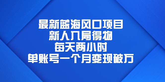 （4127期）最新蓝海风口项目，新人入局得物，每天两小时，单账号一个月变现破万