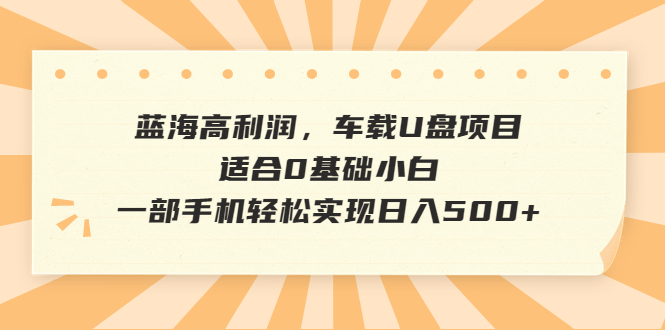 （4206期）蓝海高利润，车载U盘项目，适合0基础小白，一部手机轻松实现日入500+