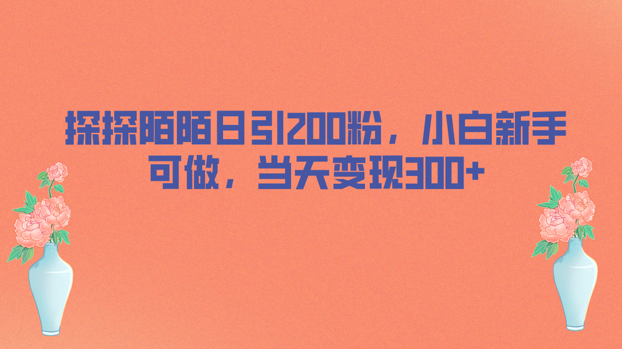 （4394期）探探陌陌日引200粉，小白新手可做，当天就能变现300+